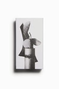 Zara Vibrant Leather - 100ml
